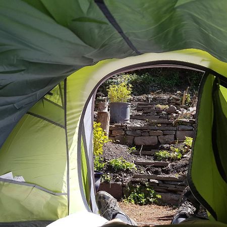 'Yellow Wood Micro Hostel-Eco Urban Bothy Style Very Basic But Cosy Redecorating But Cheap & Friendly Quiet Time Lockout 11Pm-7Am Bring Towel Or Hire Brecon Bagian luar foto