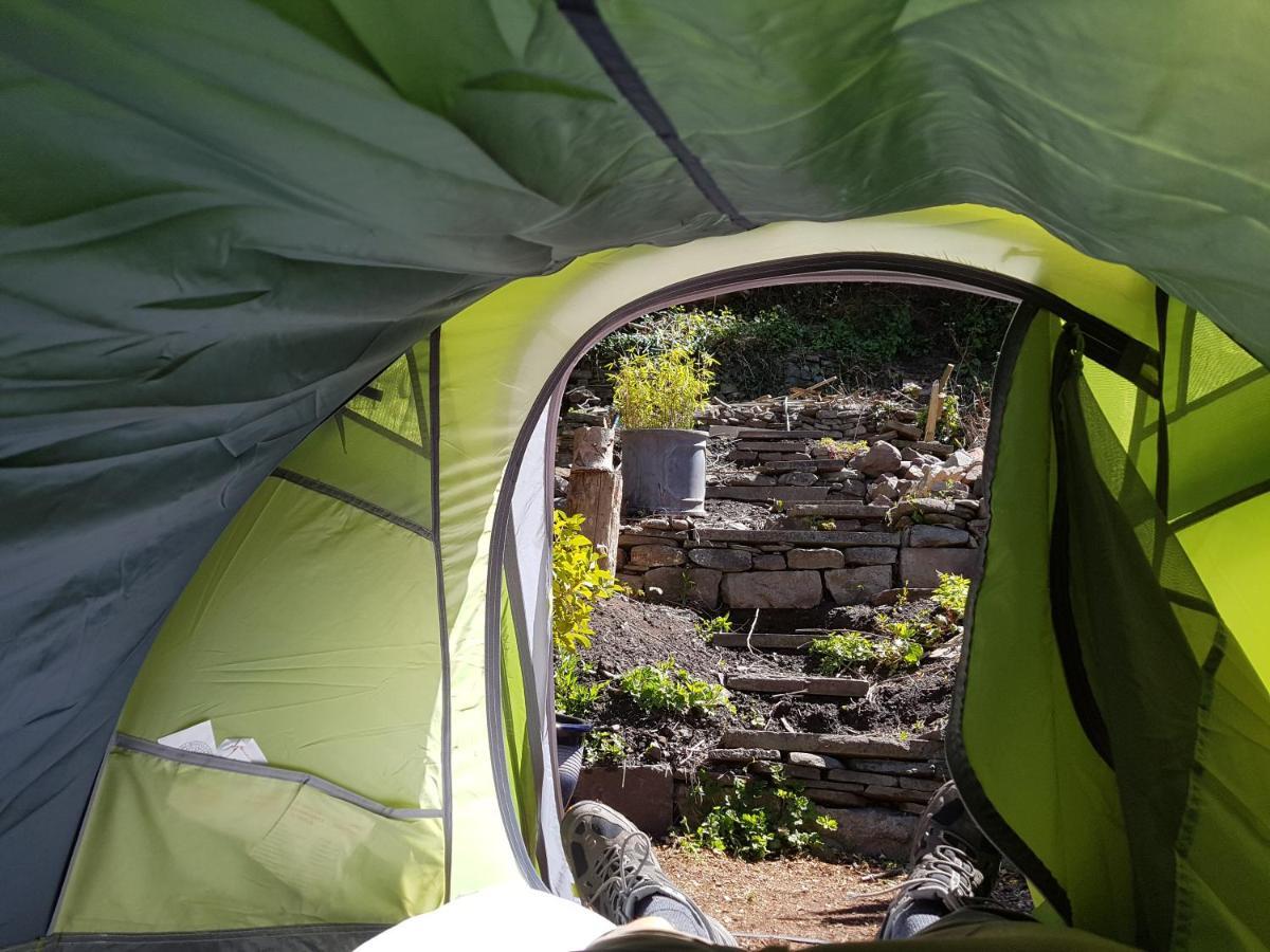 'Yellow Wood Micro Hostel-Eco Urban Bothy Style Very Basic But Cosy Redecorating But Cheap & Friendly Quiet Time Lockout 11Pm-7Am Bring Towel Or Hire Brecon Bagian luar foto