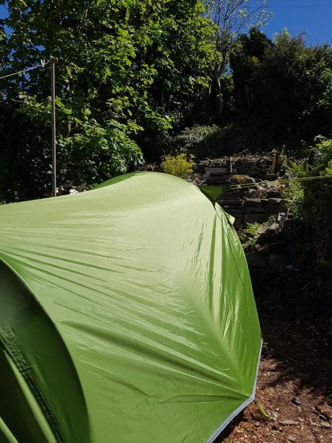'Yellow Wood Micro Hostel-Eco Urban Bothy Style Very Basic But Cosy Redecorating But Cheap & Friendly Quiet Time Lockout 11Pm-7Am Bring Towel Or Hire Brecon Bagian luar foto